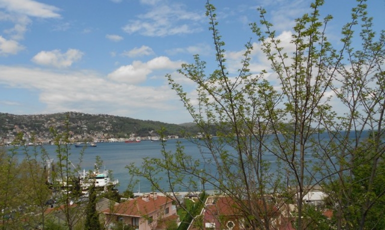 Authentic Unique Villa with Bosporus View