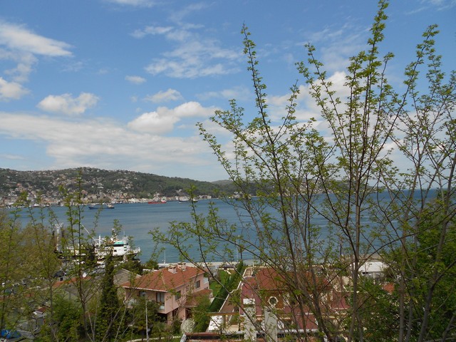 Authentic Unique Villa with Bosporus View
